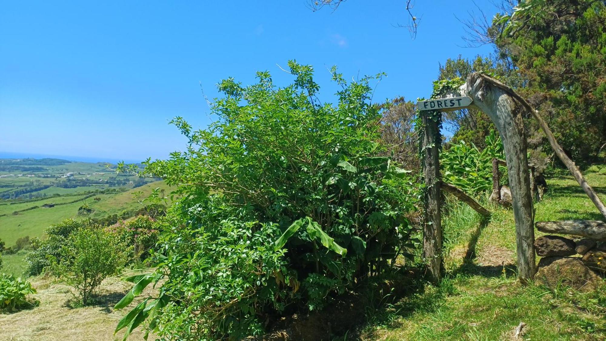 - Cantinho Do Paraíso * Santo Espirito